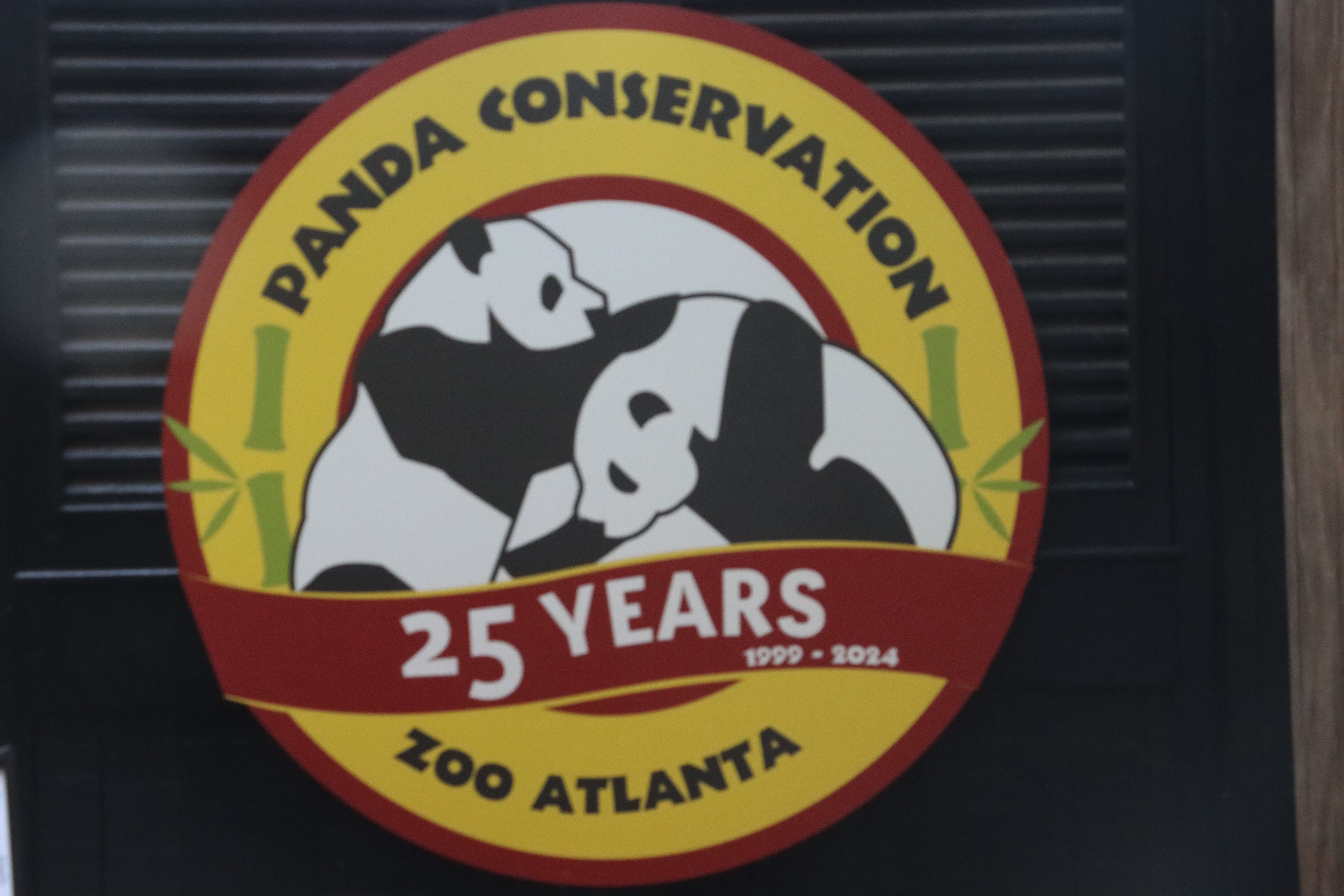 Giant Pandas to Bid Farewell to Zoo Atlanta in October