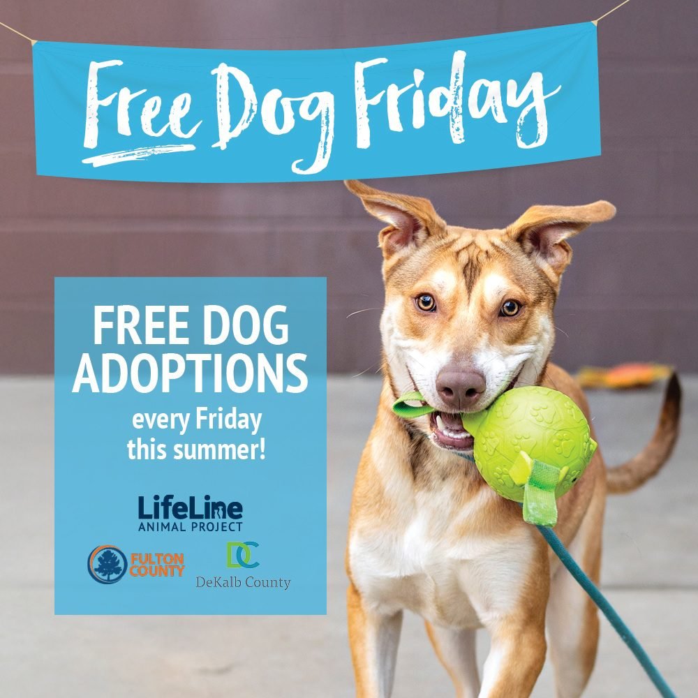 Free Dog Friday