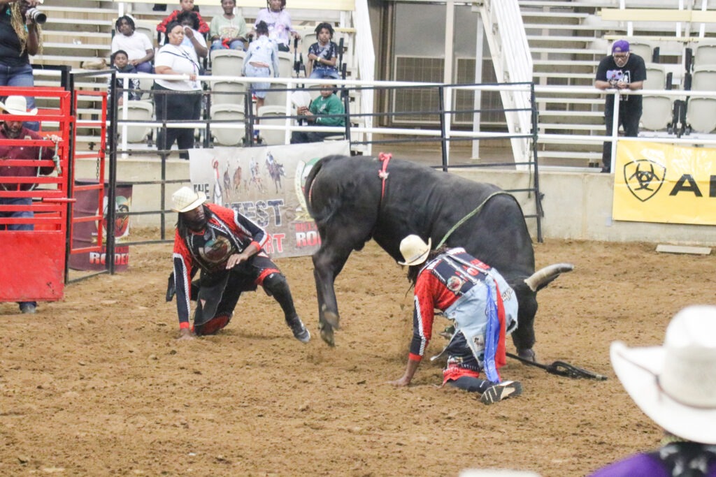 BPIR bullfighters