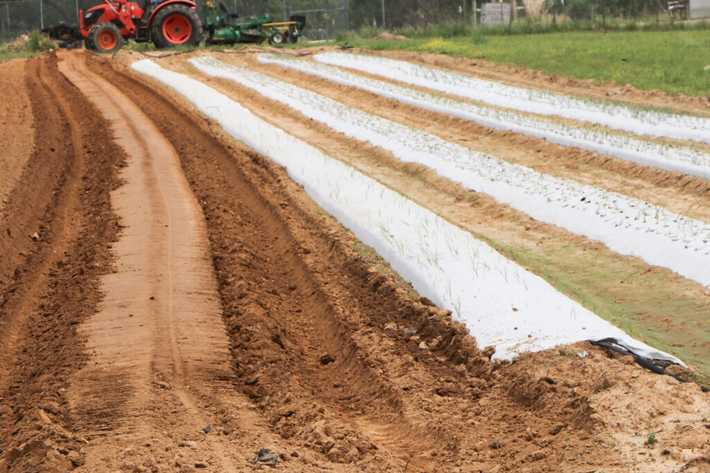 When the Seasons Stop Making Sense: Climate Change Is Rewriting the Rules for Black Farmers 5 Foot Print Farms
