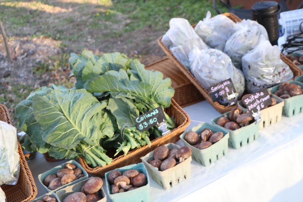 When the Seasons Stop Making Sense: Climate Change Is Rewriting the Rules for Black Farmers 4 Metro Atlanta Urban Farm